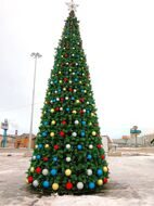 Сосна Каркасная Ростовская 5 м, ЛЕСКА