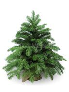 Настольная елка в мешочке Anson 60 см, ЛИТАЯ + ПВХ