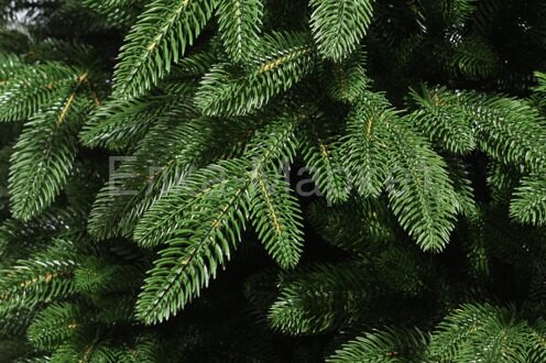 Искусственная елка Илона, ЛИТАЯ 100%